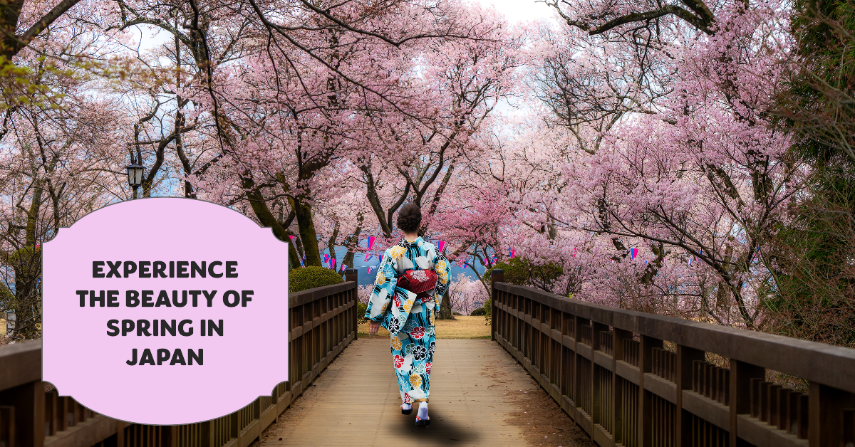 The Ultimate 10-day Itinerary for Japan in Spring