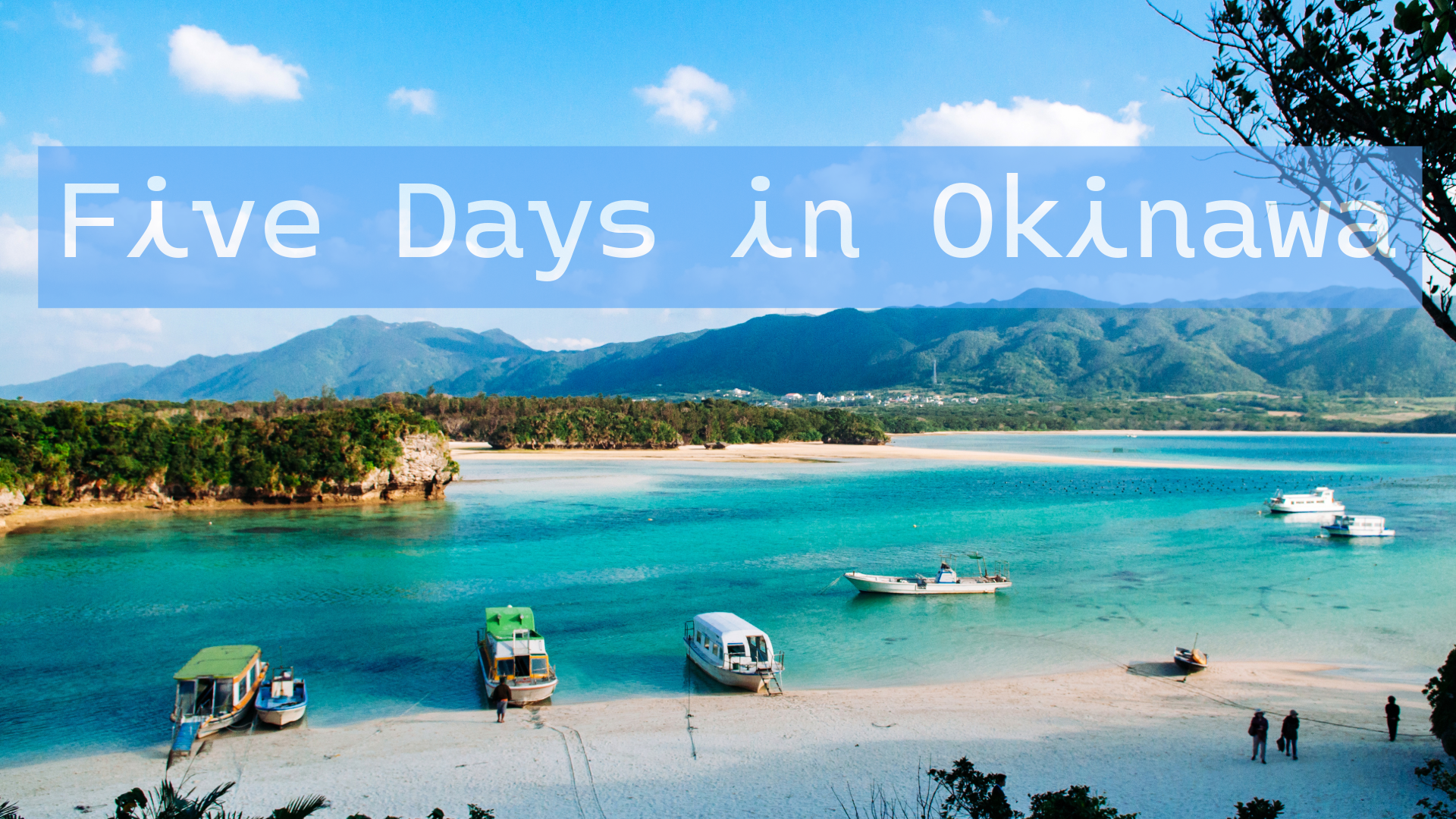 Five Days in Okinawa –  Road, Reef, and Rhythm